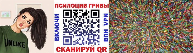 Псилоцибиновые грибы Psilocybine cubensis  Купить где  Евпатория 